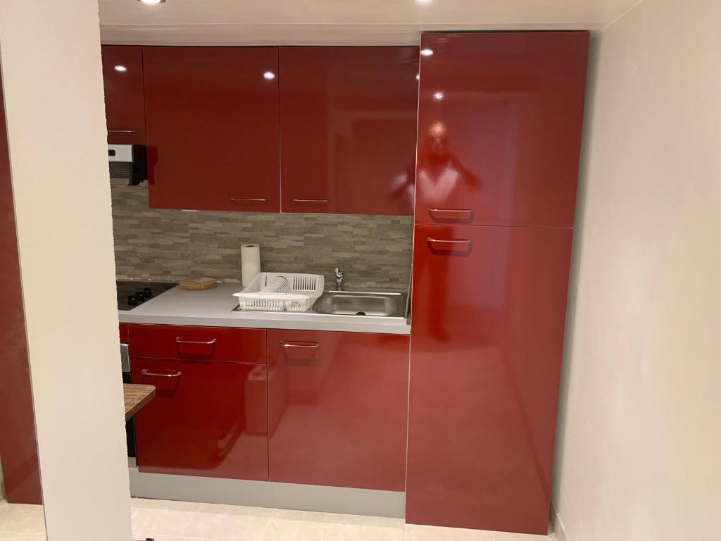 Apartment near Geneva Airport and Palexpo 3