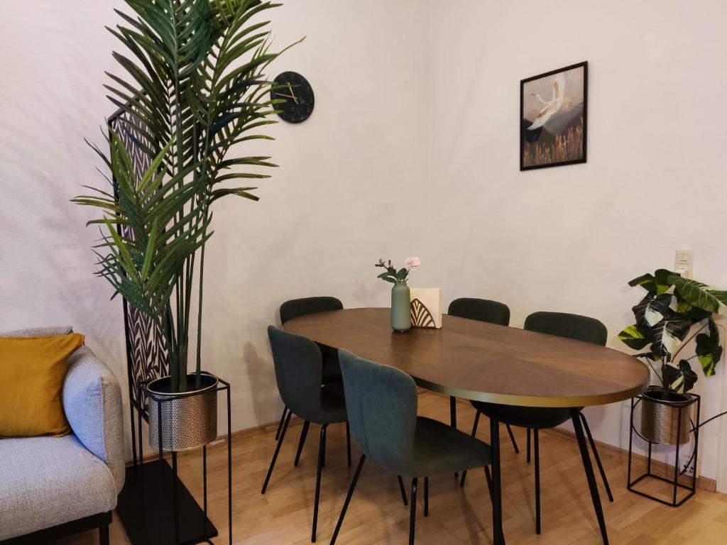 Zen Apartment - 2 bedrooms - kitchen - balcony 8