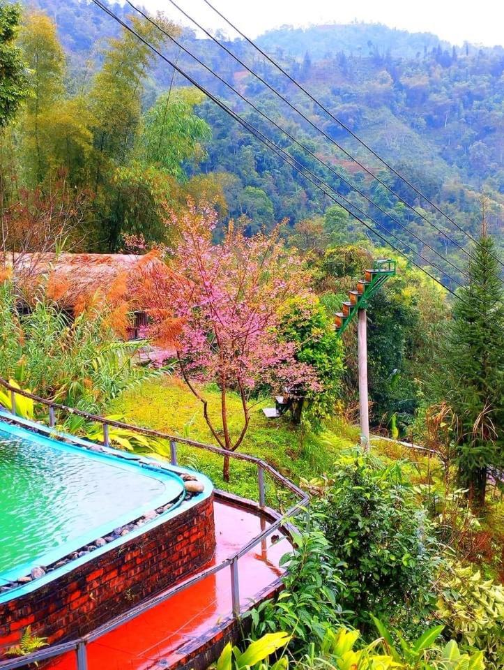 Bungalow Hoàng Su Phì