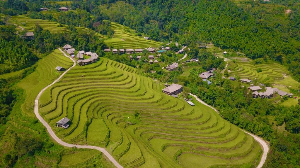 Bungalow Hoàng Su Phì