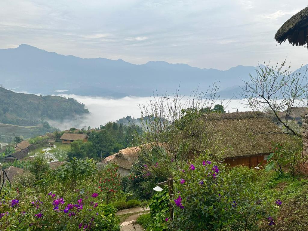 Bungalow Hoàng Su Phì