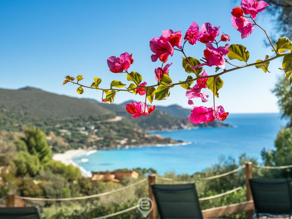 une branche de fleurs roses avec vue sur la plage dans l'établissement Villa La Perla, à Torre delle Stelle