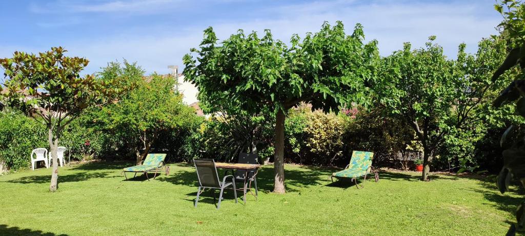 Appartement LOFT 40 M2 5