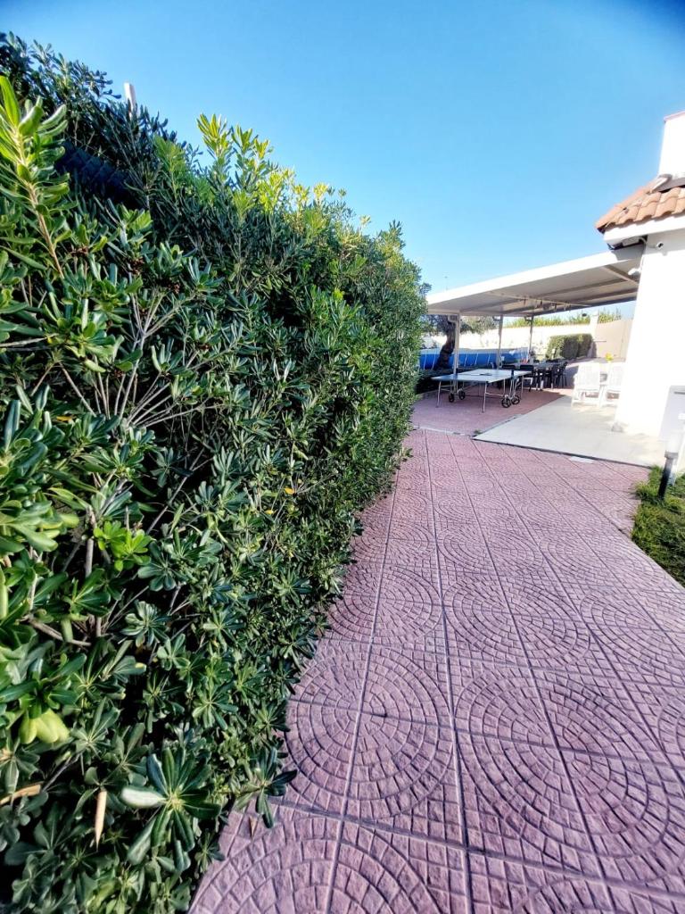 une haie avec une passerelle en briques rouges à côté d'un bâtiment dans l'établissement Syracuse Blue Sea, à Fontane Bianche