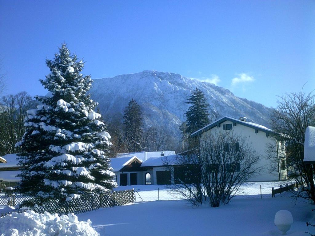 Haus Alpenblick inkl. Chiemgaukarte 7