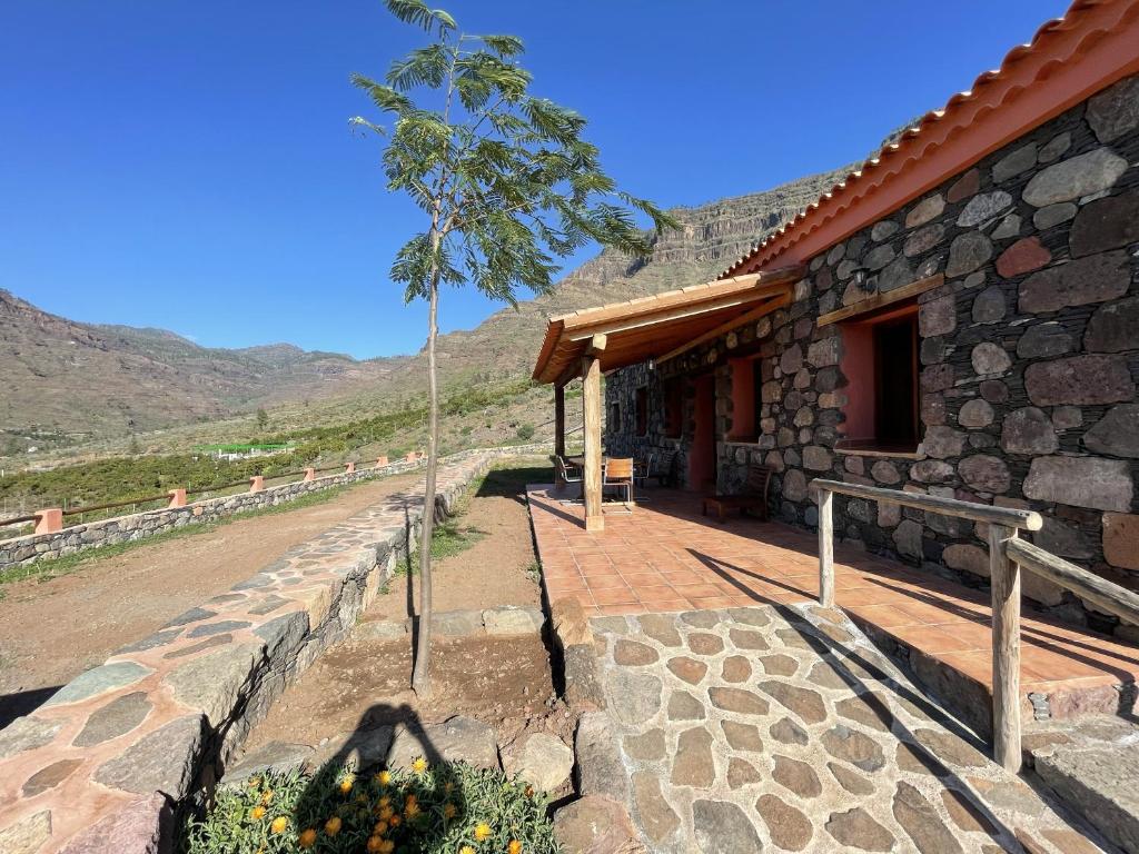 Finca Los Dioses II 6