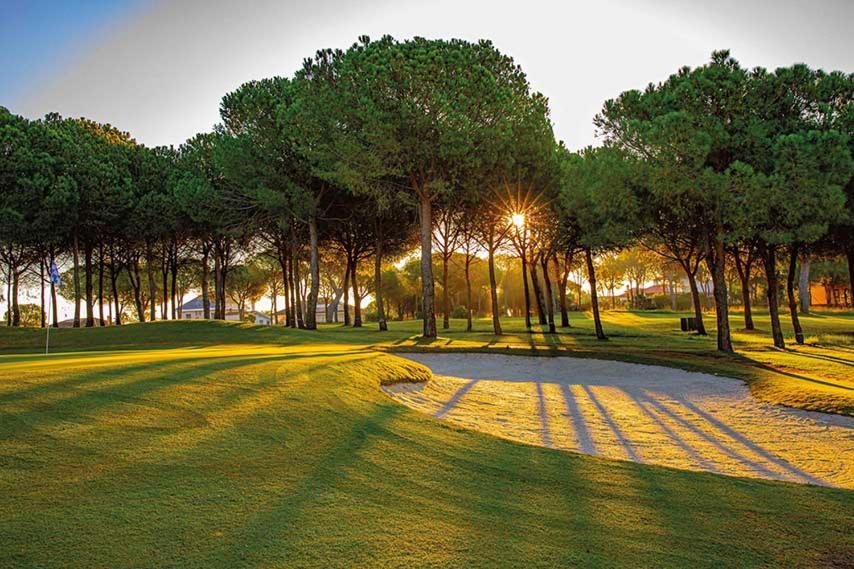 Suite Huelva garden 7