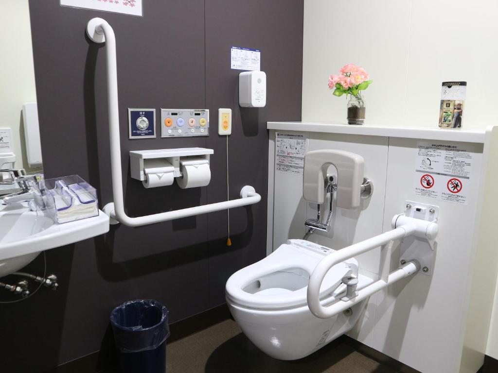 une salle de bain avec toilettes et lavabo dans l'établissement Misato Town Community Lodge Wakuasu, à Daisen