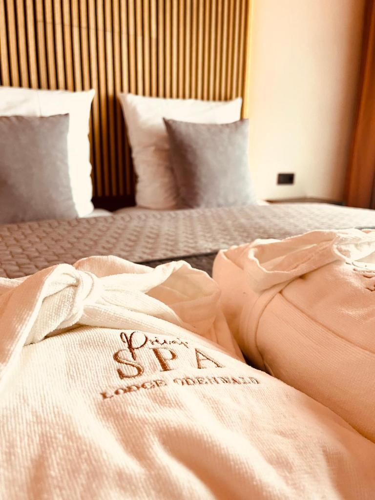 Private Spa Lodge Odenwald 2