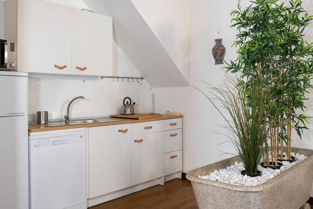 Cavour Elegant apartment At Massimo Theater 4
