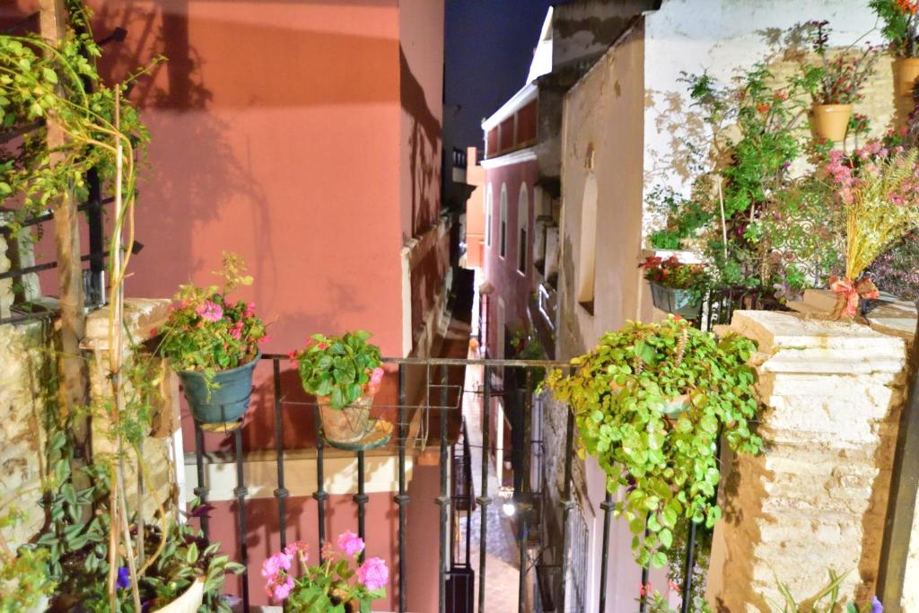 Casa Tenorio Barrio de Santa Cruz 5