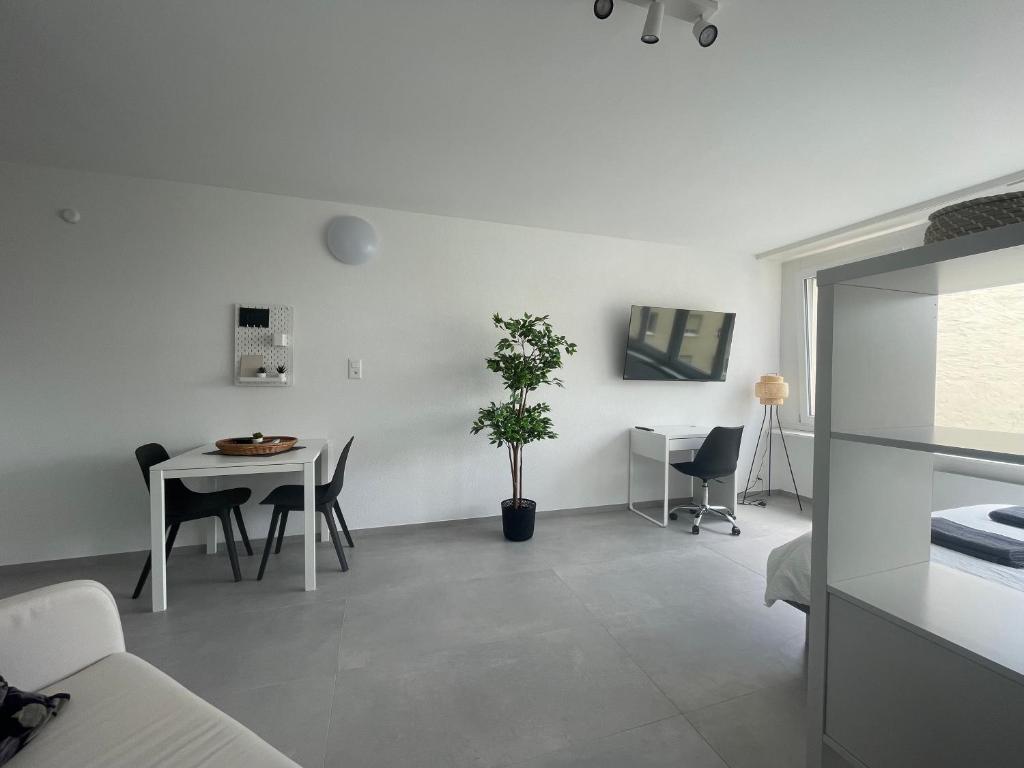 H95 Studios in Basel City with Basel Card 7