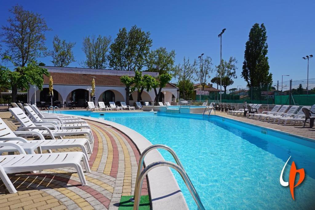 - une piscine bordée de chaises longues blanches dans l'établissement Hotel Gattuccio, à Cesenatico