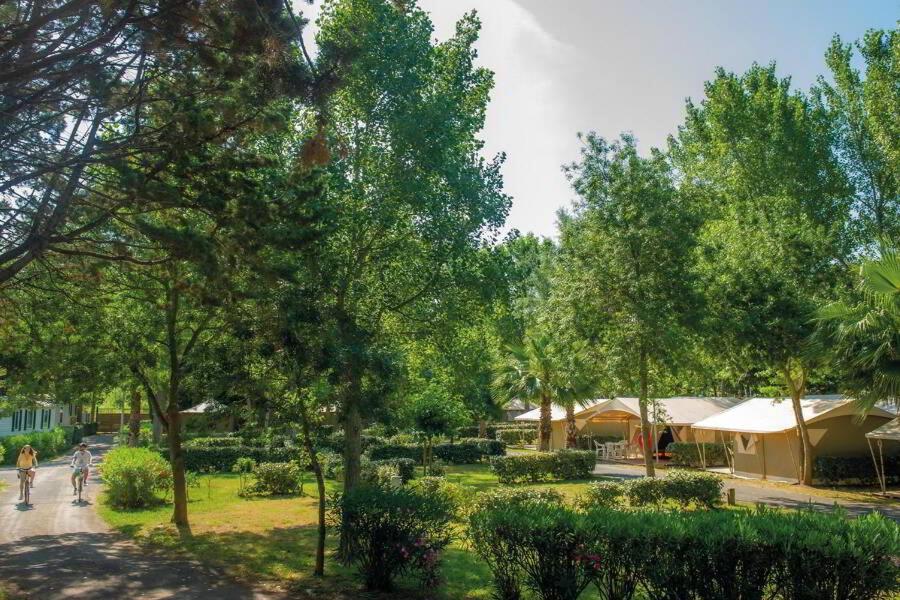 un parc avec des arbres et des gens qui descendent dans une rue dans l'établissement Mobil Home climatisé 3 chambres - Parc des 7 fonts, à Agde