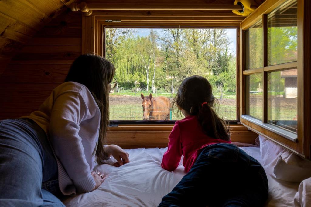 Photo de la galerie de l'établissement logement insolite sous forme de tonneau 1 Domaine les Hirondelles, à Domessin 2 autres photos