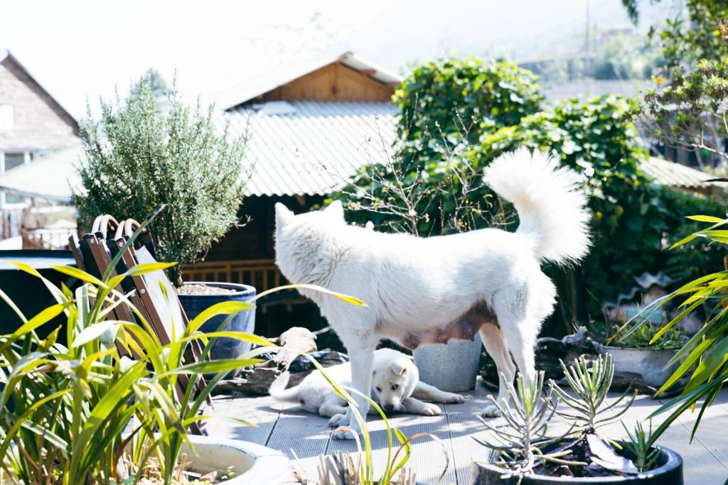 tavanhomestay