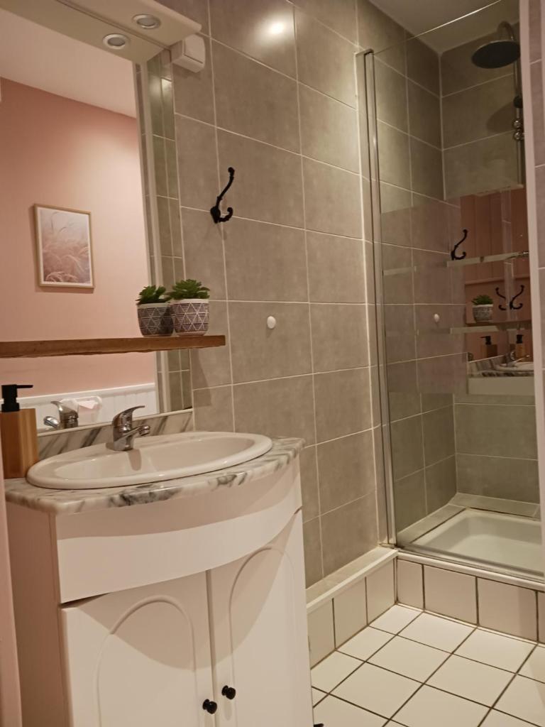 une salle de bain avec un lavabo et une douche dans l'établissement Moulin de Sansonneche - Gite Laine, à Gioux