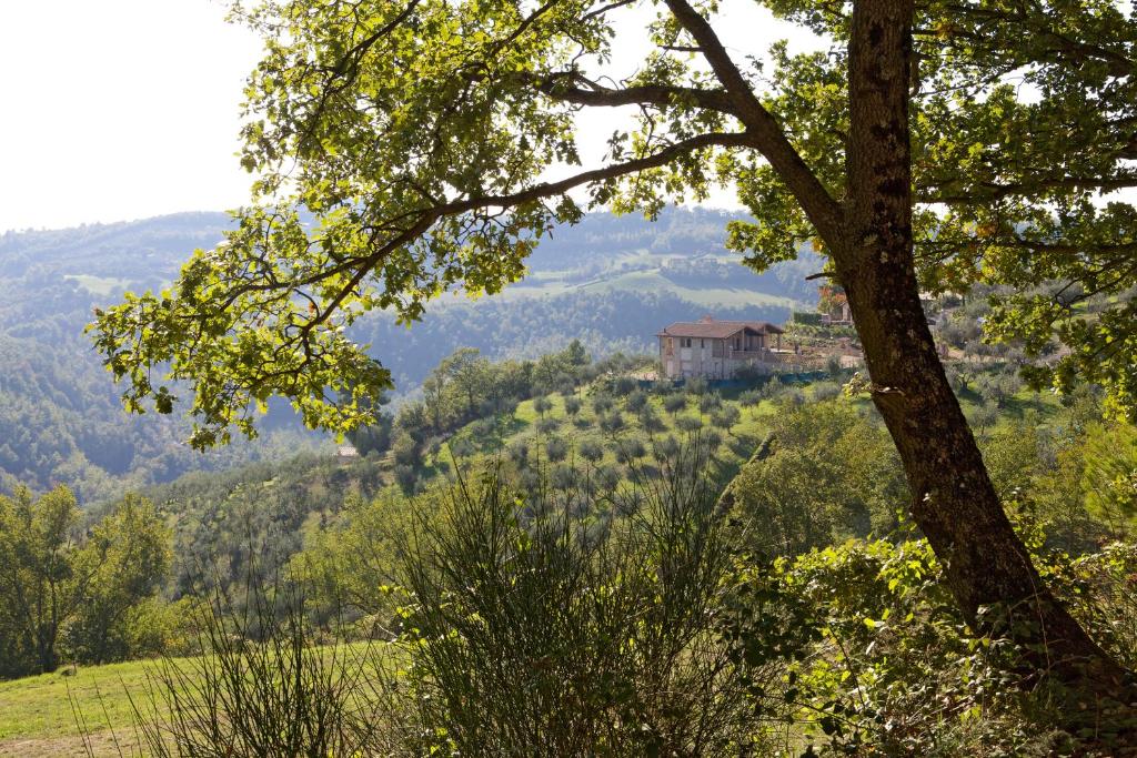 une maison au sommet d'une colline avec des arbres dans l'établissement Villa Tilla, à Gualdo Cattaneo
