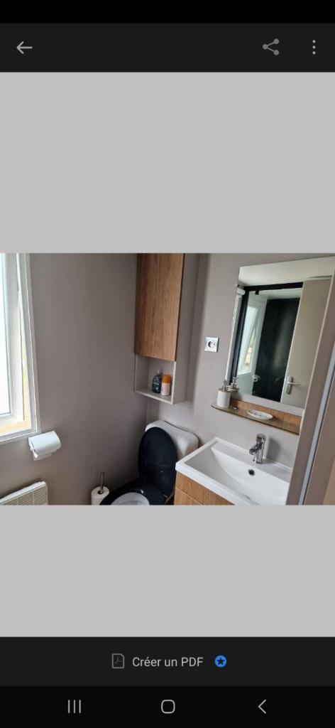 une salle de bain avec un lavabo et un miroir dans l'établissement Mobil home tout confort au Camping Les Viviers, Cap Ferret, à Claouey