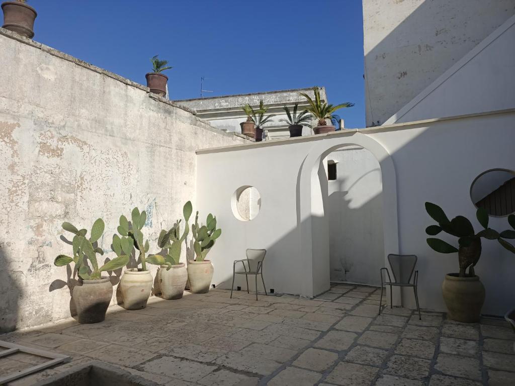 un groupe de plantes en pots sur un mur dans l'établissement Palazzo Giustiniani L'Ambasciatore, à Sogliano Cavour 106 autres photos