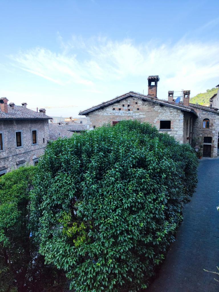 Locazione Gattapone 1A 8