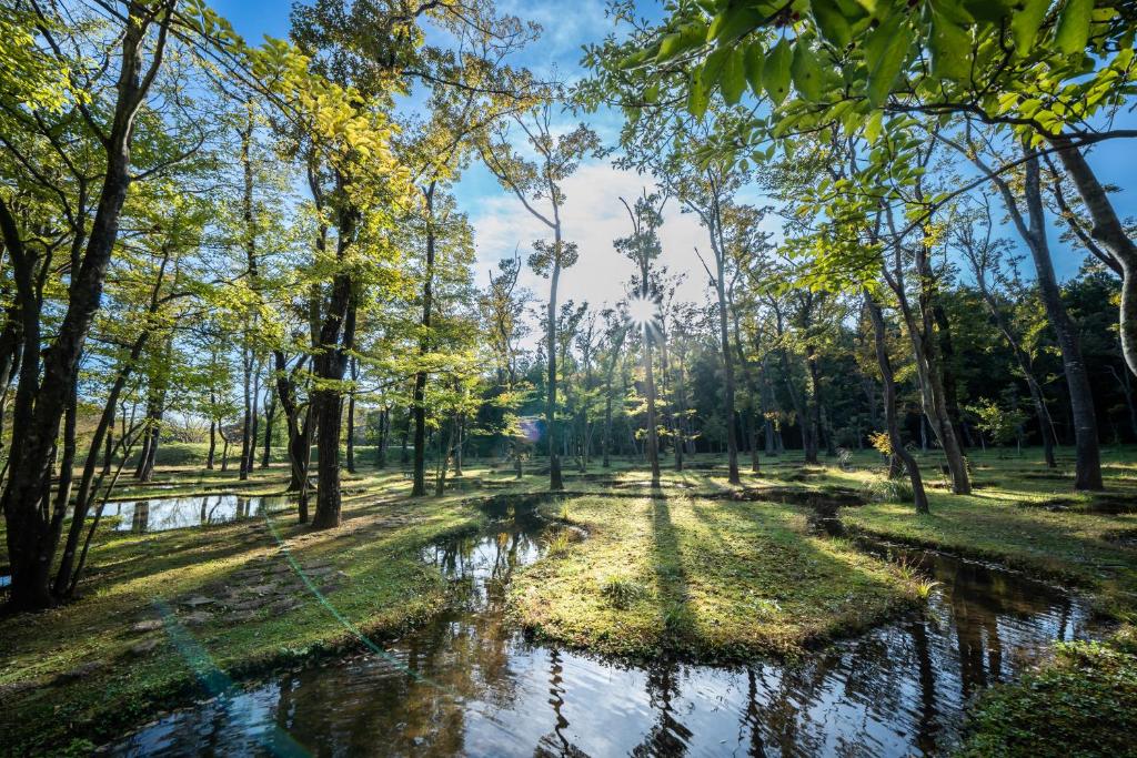 un étang dans un parc arboré dans l'établissement 那須 無垢の音, à Nasu