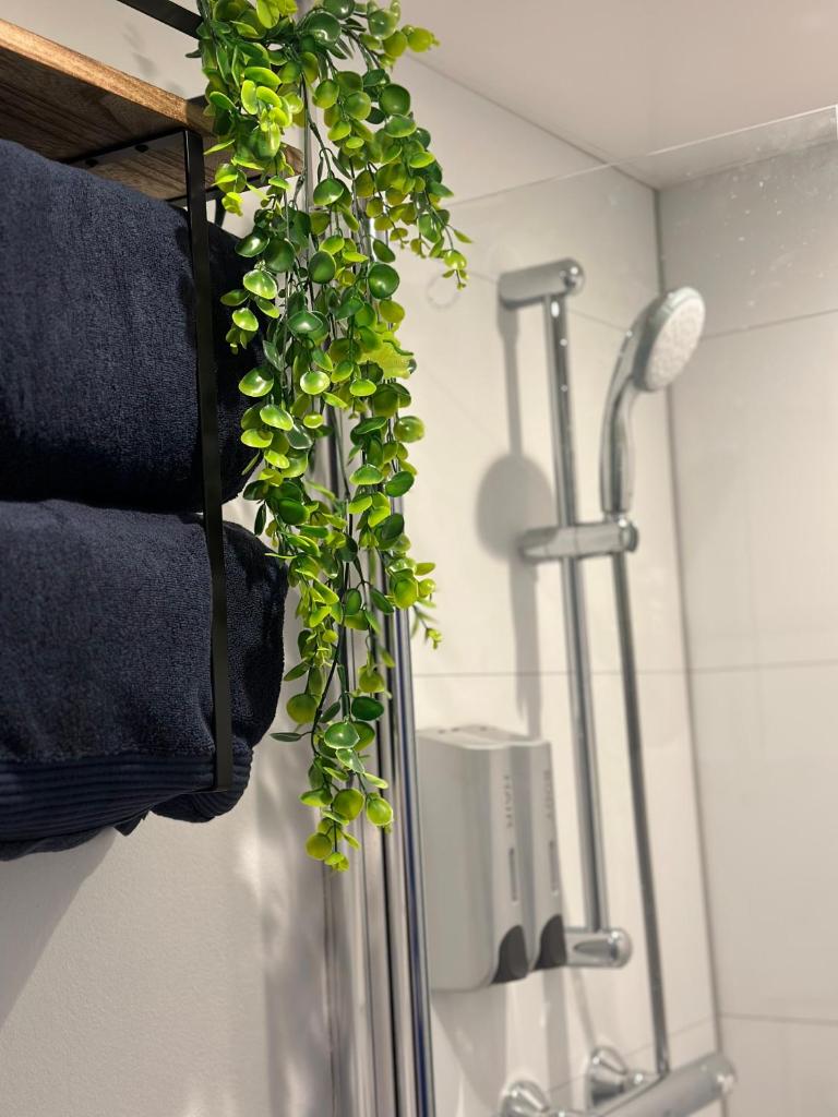 une plante suspendue à un porte-serviettes dans la salle de bains. dans l'établissement House Boat avec SPA naviguant en Champagne, à Mareuil-sur-Ay