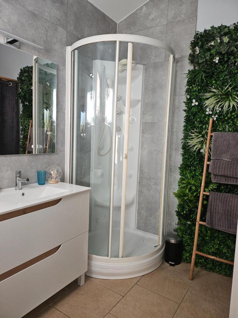 une salle de bain avec douche et lavabo dans l'établissement Le gîte du Font Blanque, à Campsas