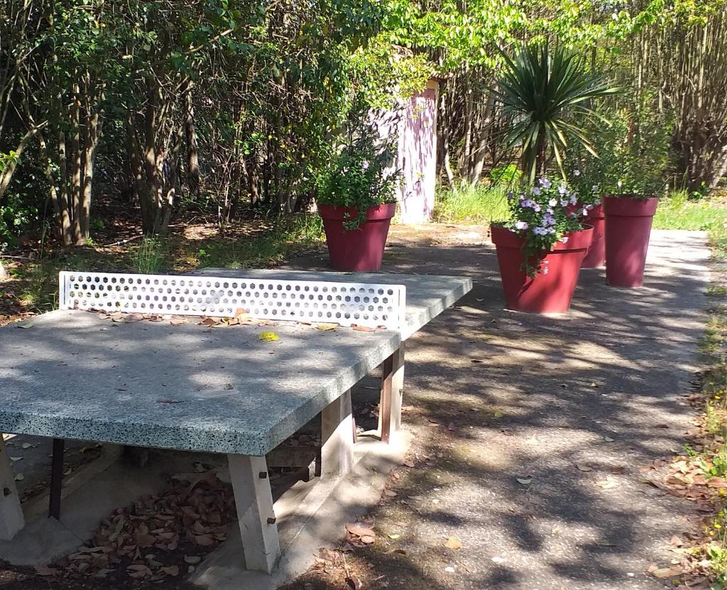 Photo de la galerie de l'établissement Location à la semaine Mobil-home 6 personnes dans Camping en Provence, à Mallemort