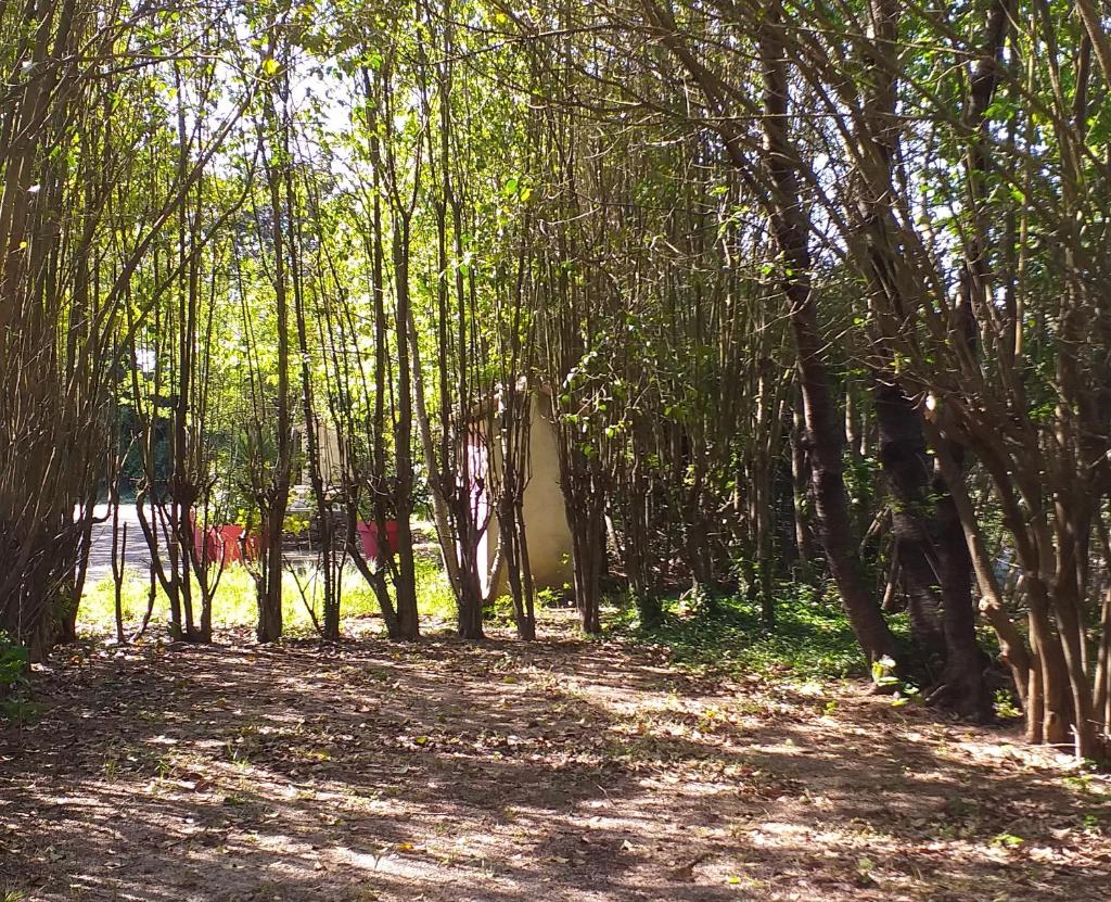 Photo de la galerie de l'établissement Location à la semaine Mobil-home 6 personnes dans Camping en Provence, à Mallemort