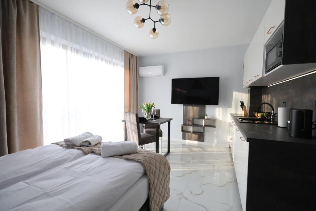 Katowice Apartamenty Hetmańska 4 5
