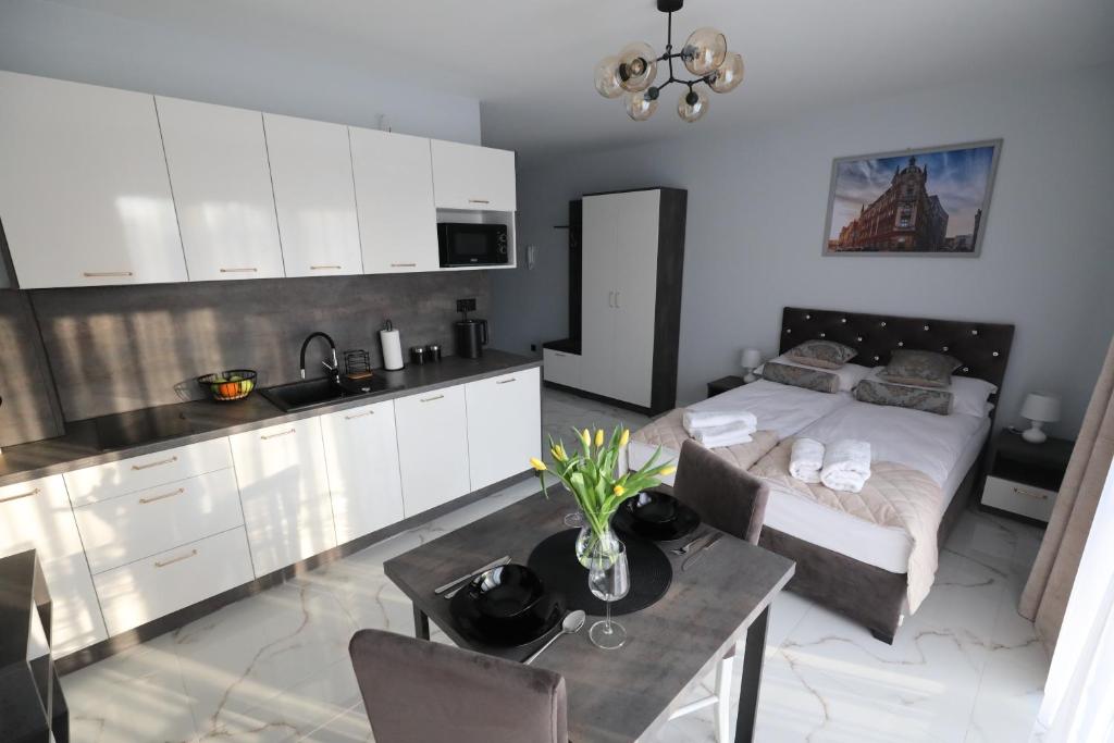 Katowice Apartamenty Hetmańska 4 2