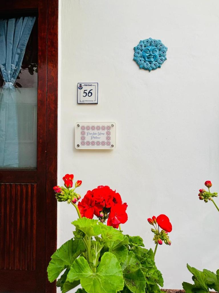 Paradise Home Positano 7