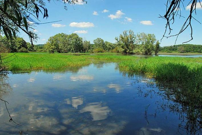 une grande masse d'eau avec de l'herbe et des arbres dans l'établissement Camping du Lac, à Villegusien Le Lac