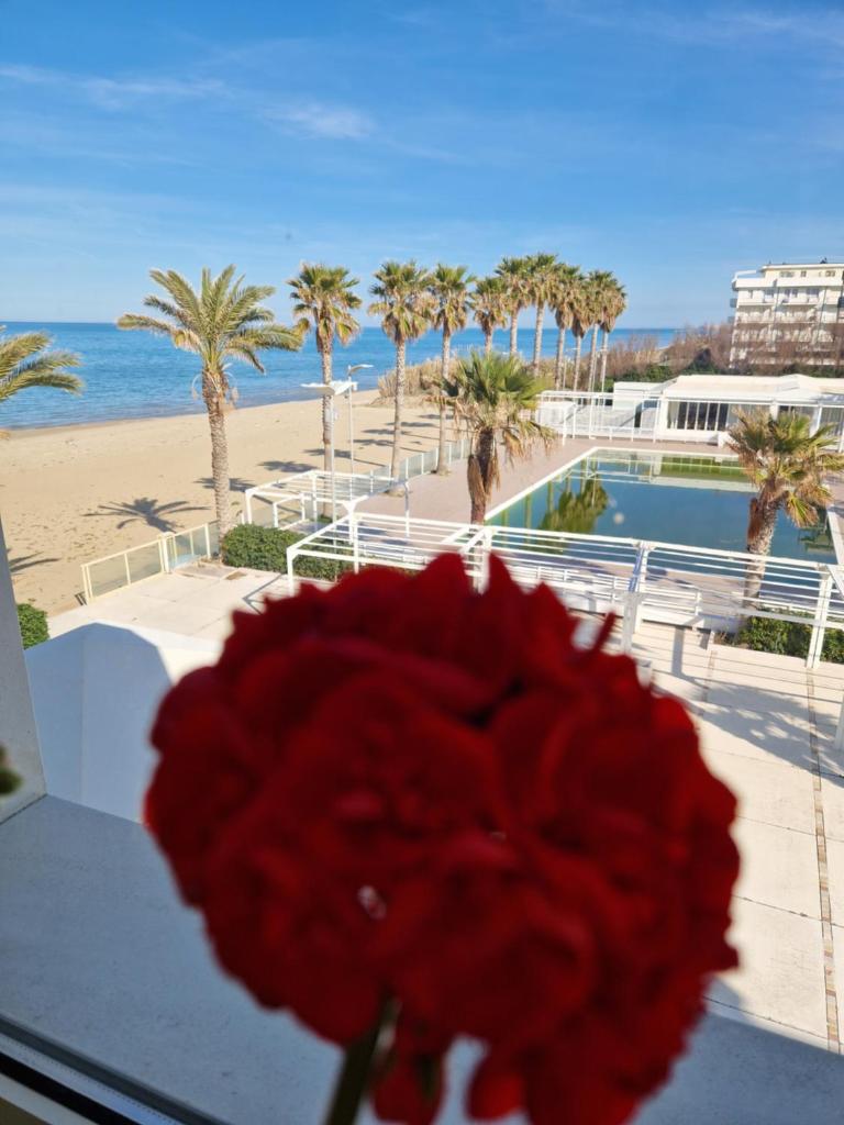 une fleur rouge dans un vase devant la plage dans l'établissement Martur Resort, à Termoli