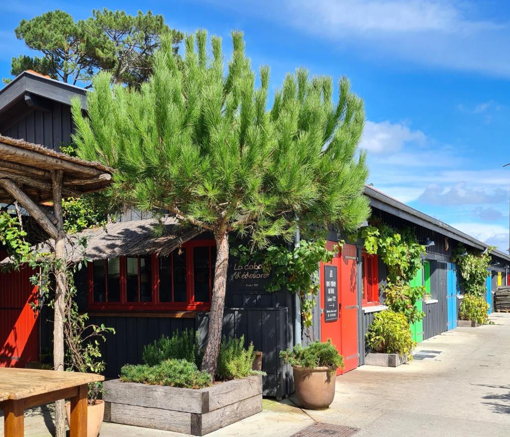 un pin devant un bâtiment dans l'établissement Joli Bungalow Cap Ferret Camping les Viviers, à Lège-Cap-Ferret