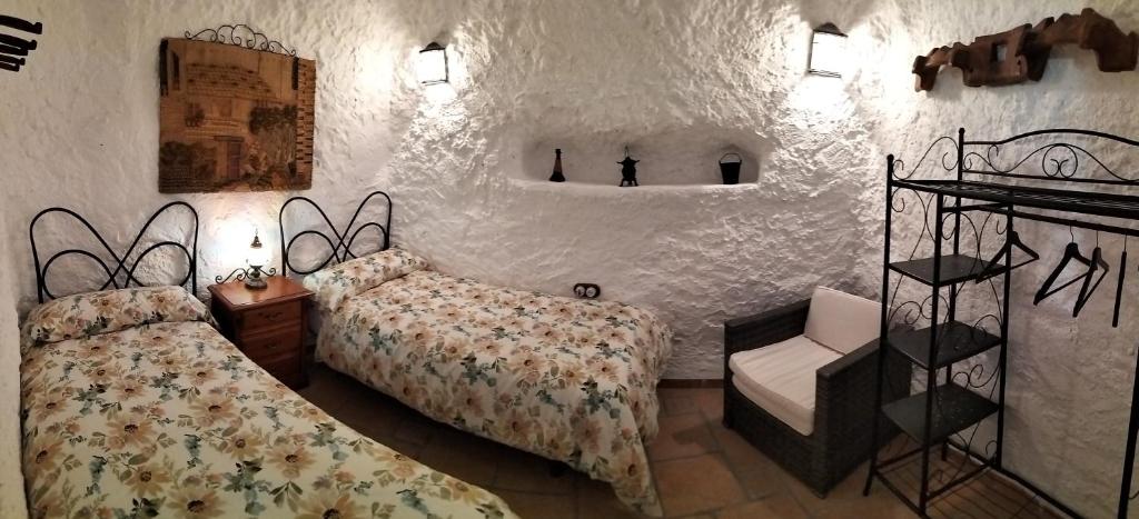 CASA CUEVA EL OLIVO 8