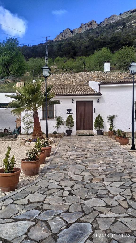 CASA CUEVA EL OLIVO 5
