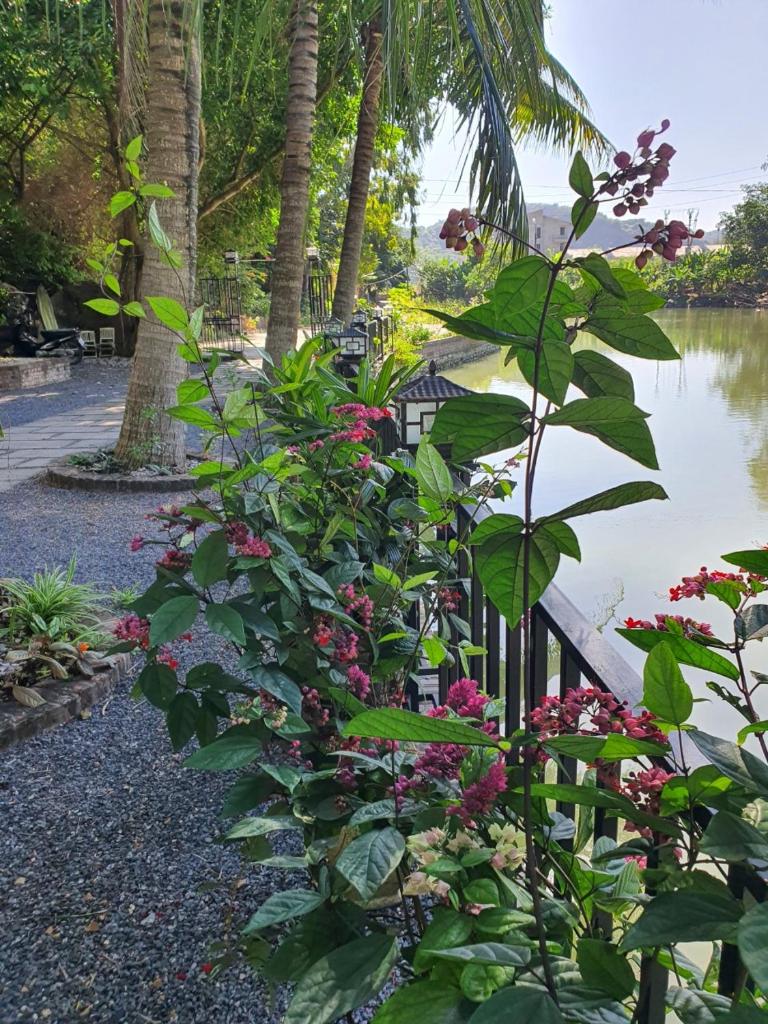 2Stones Cát Bà Homestay