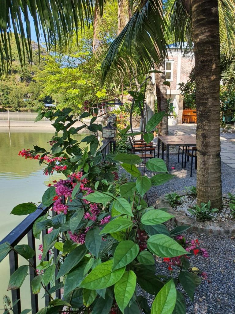 2Stones Cát Bà Homestay