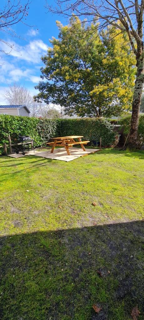 - une table de pique-nique dans un parc avec un arbre dans l'établissement Mobil home 693 à la réserve 8 personnes avec terrasse couverte, à Gastes