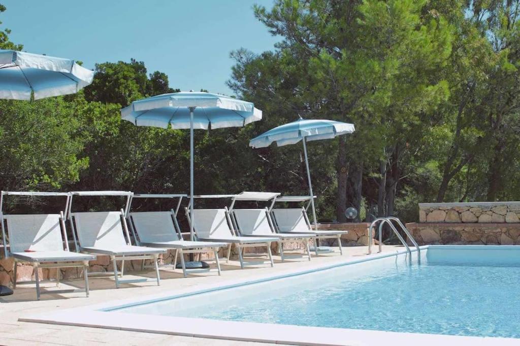 - un groupe de chaises longues et de parasols à côté de la piscine dans l'établissement Domus Cristianae Villa Exclusive Pool Sea View, à Nuragheddu