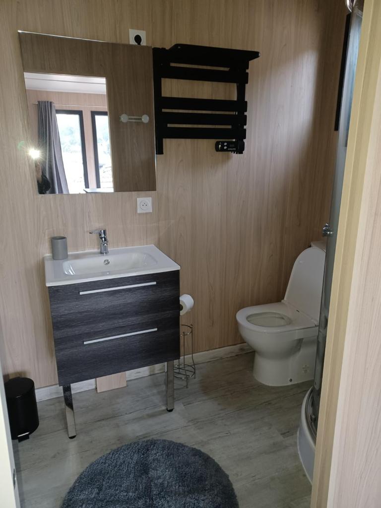 une salle de bain avec un lavabo et des toilettes dans l'établissement La Cabanne du Vigné, à Saint-Pargoire