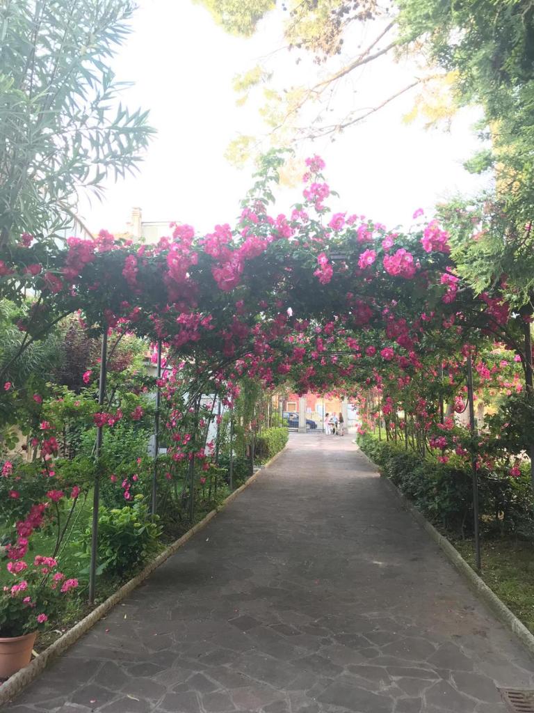une passerelle couverte de fleurs roses dans un parc dans l'établissement Hotel VILLA PINA, à Senigallia