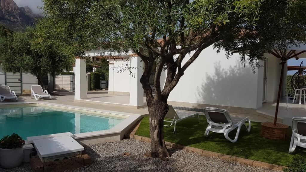 - une piscine avec un arbre et des chaises à côté d'une maison dans l'établissement VILLA ILARIA con piscina privata a 350 mt spiaggia di sabbia, à Tertenìa