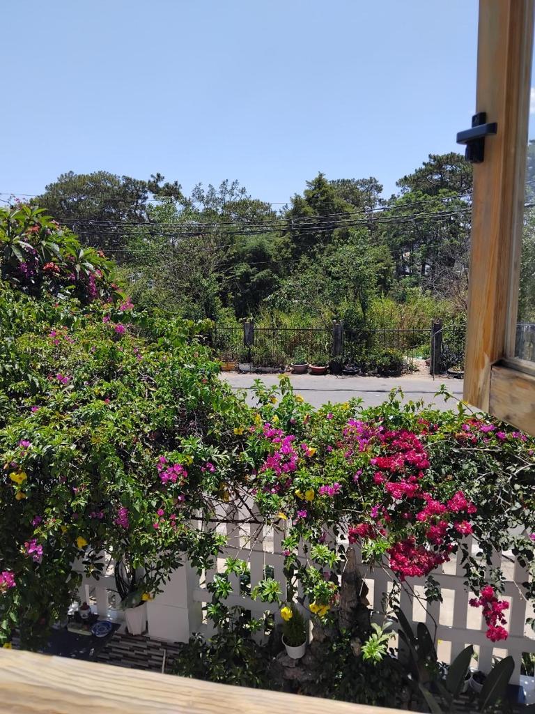 Vindy House