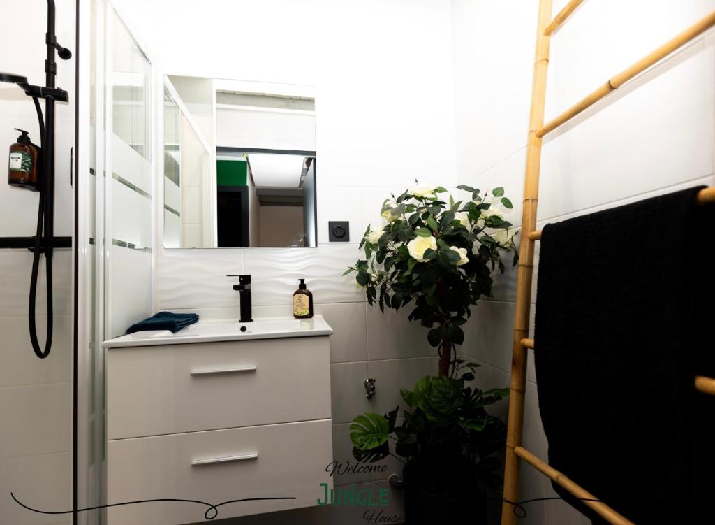 MAISON "Jungle House" 90 m2 BILLARD, RÉTROPROJECTEUR, BAR À JEUX , VINYLE, WIFI FIBRE, idéal PRO & FAMILLE à Montbrison 3
