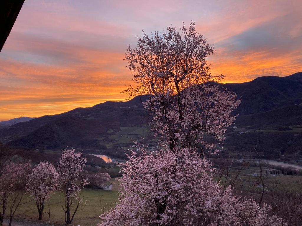 Casa nella natura a Bobbio 4