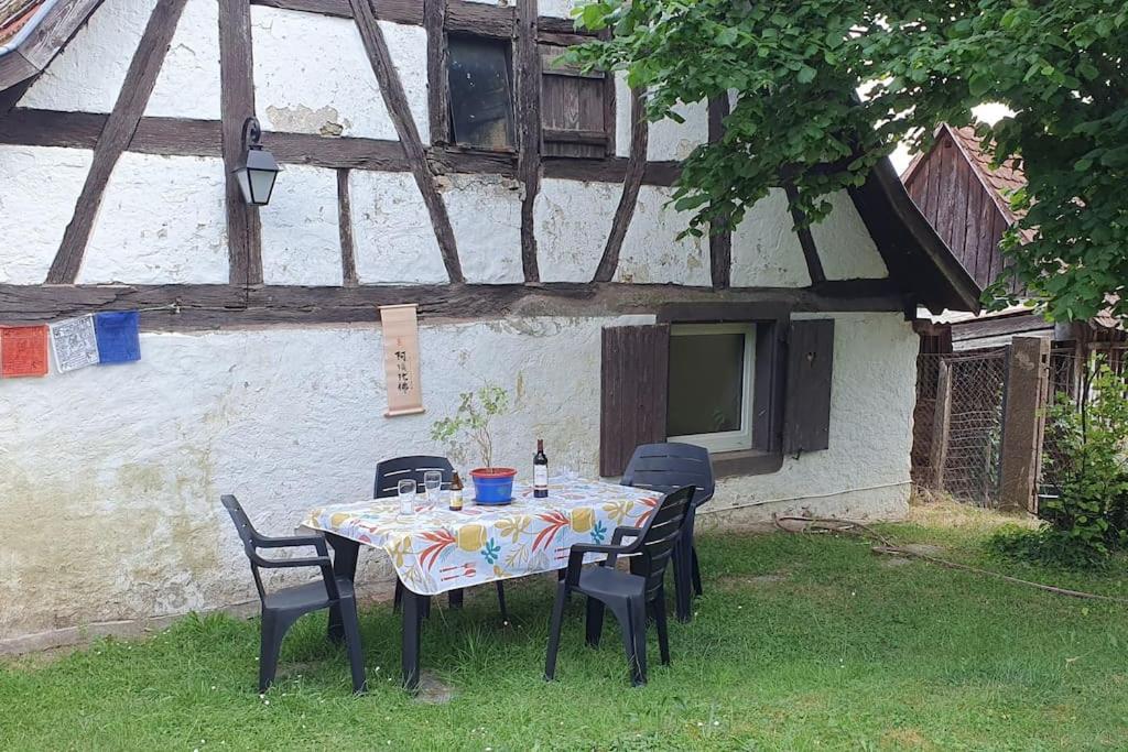 Le Berger du Salzbach 6