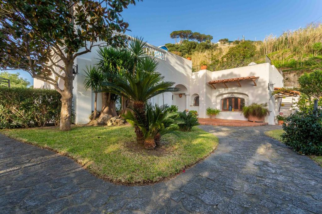 une maison blanche avec un palmier dans l'allée dans l'établissement Villa Le Pagine Bianche, à Ischia